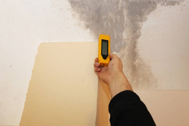 Mold Documentation for Insurance Claims in Edgerton, OH